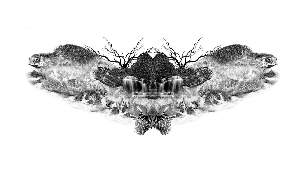 Costa Rica, Nature & Culture V4