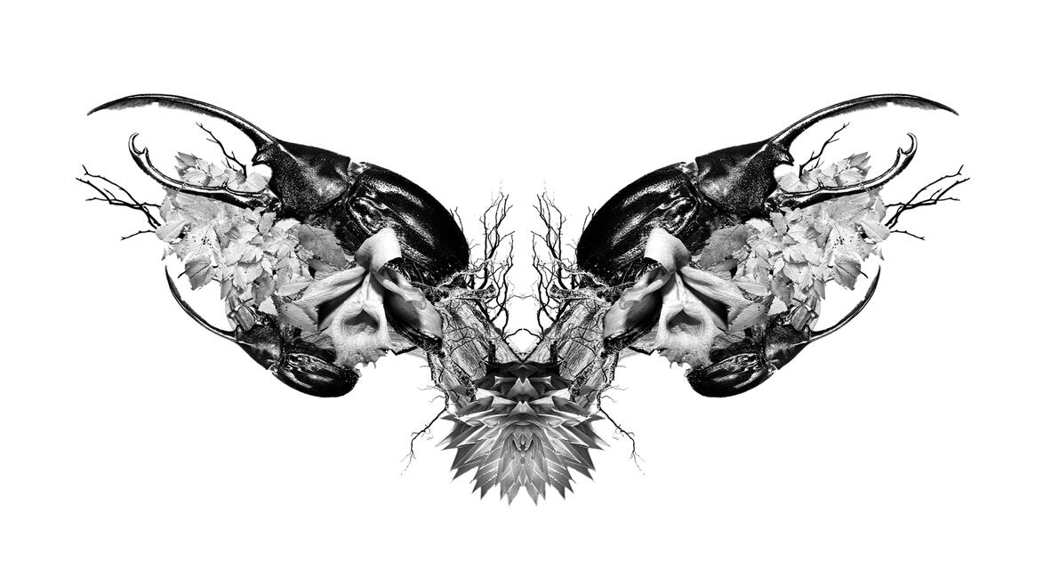 Costa Rica, Nature & Culture V3