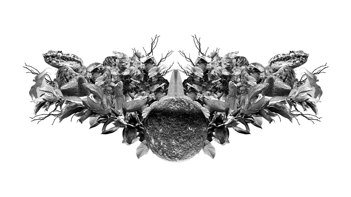 Costa Rica, Nature &amp; Culture V2