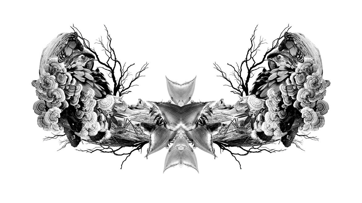 Costa Rica, Nature & Culture V5