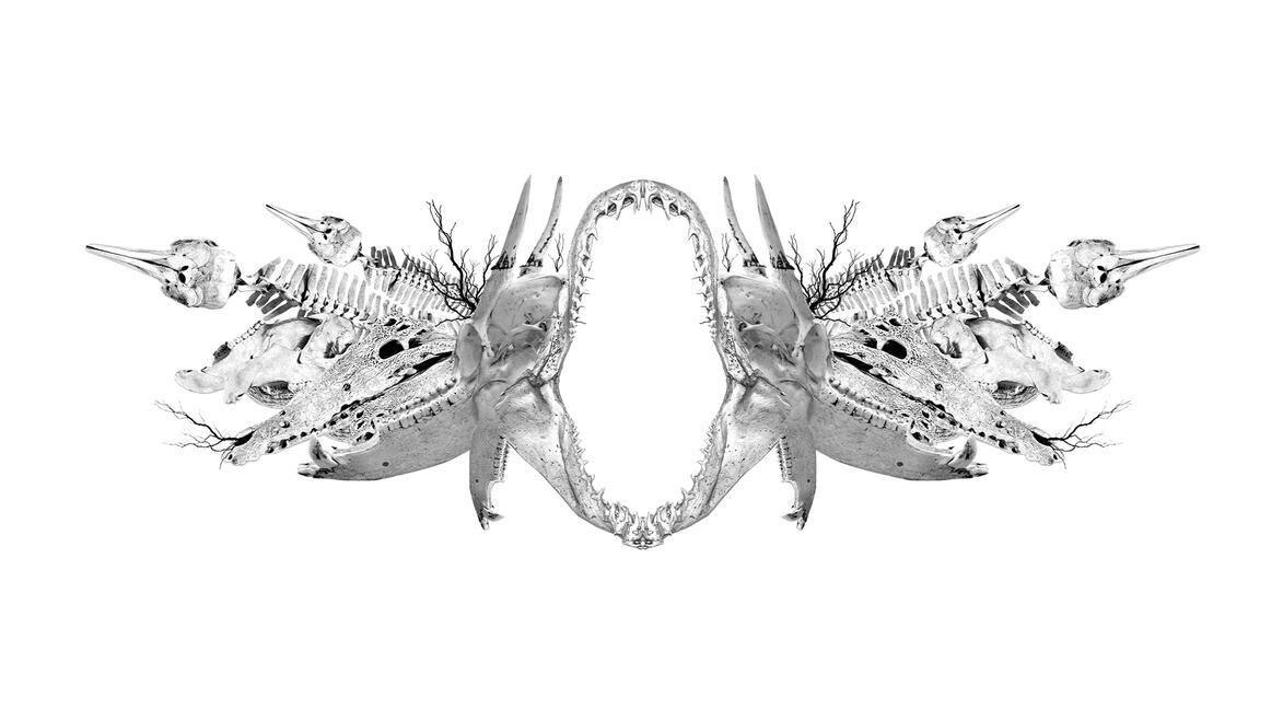 Costa Rica, Nature & Culture V1