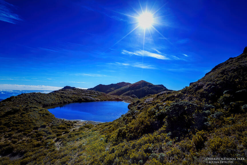 Chirripo National Park