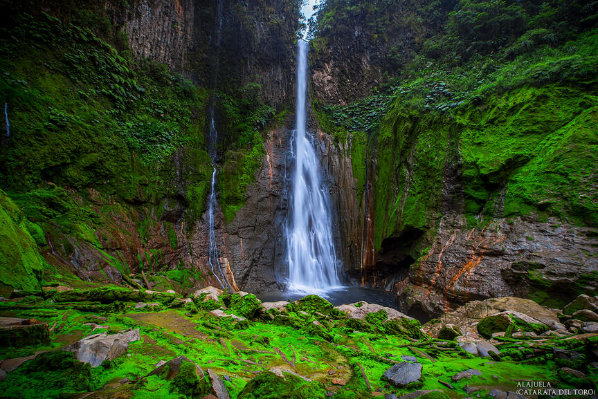 Del toro waterfall