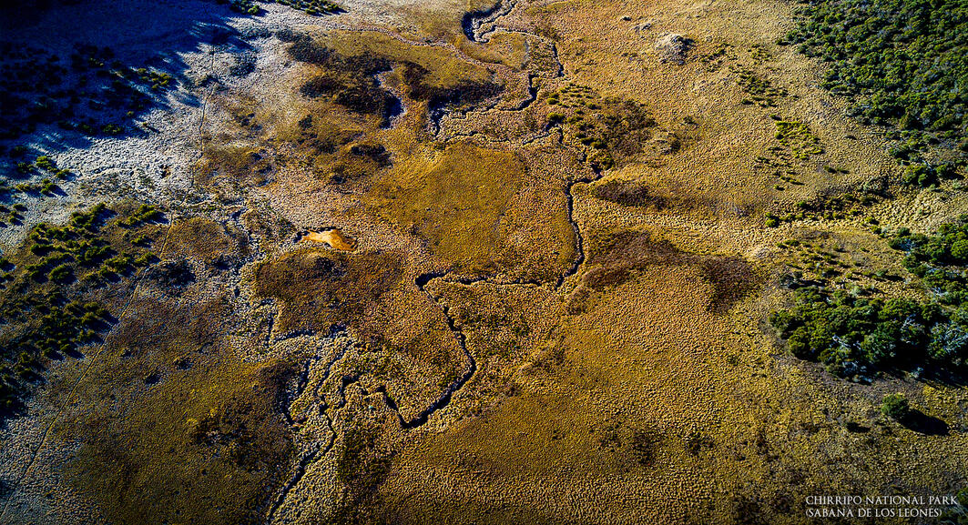 Chirripo National Park