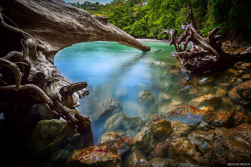 biesanz beach