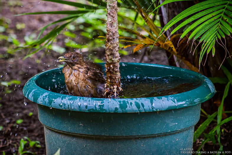 La fortuna San Carlos