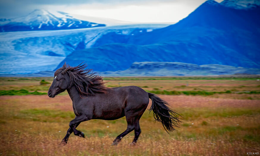 Iceland